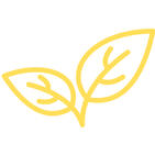 Sapling icon