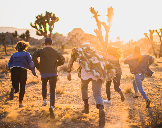 Four running together at dusk